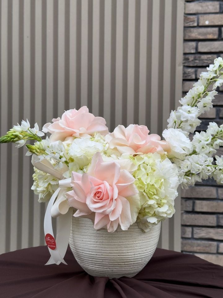 Butterfly Girl Aranjman