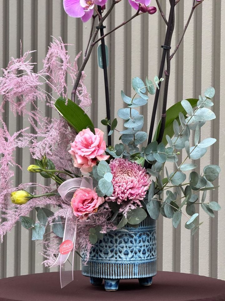 2 Dallı Premium Seramik Saksıda Mor Orkide