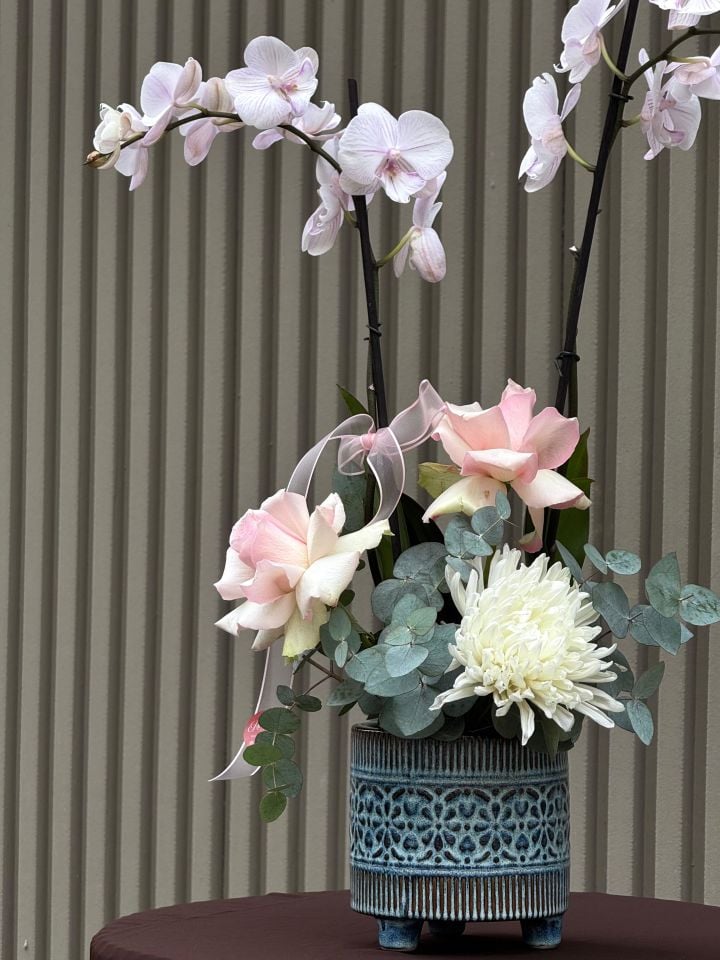 2 Dallı Premium Seramik Saksıda Orkide