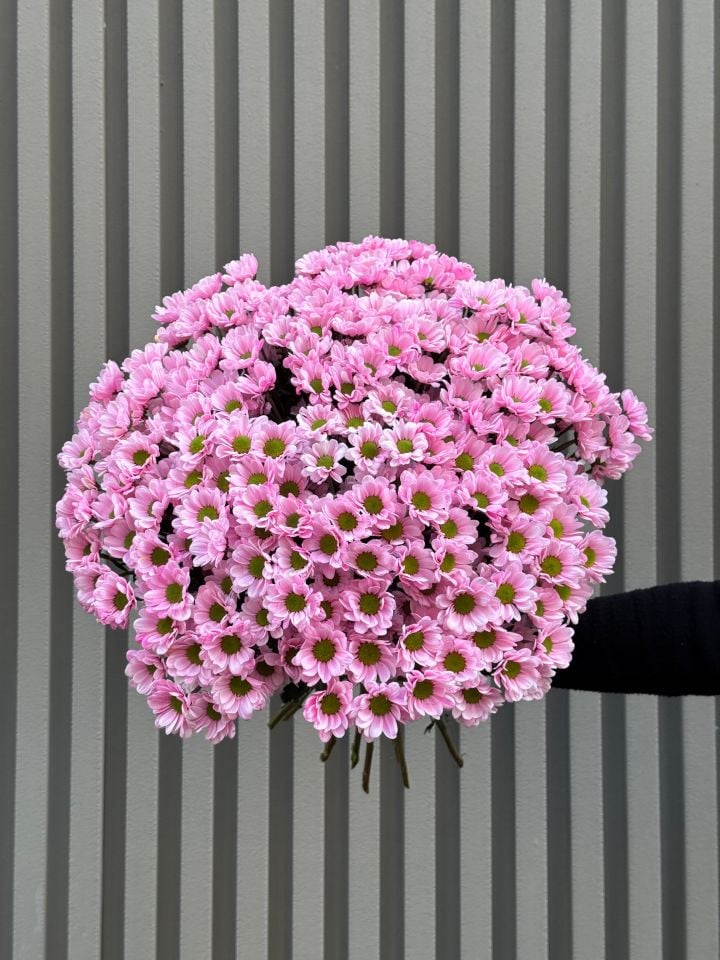 Pink Daisy Buket
