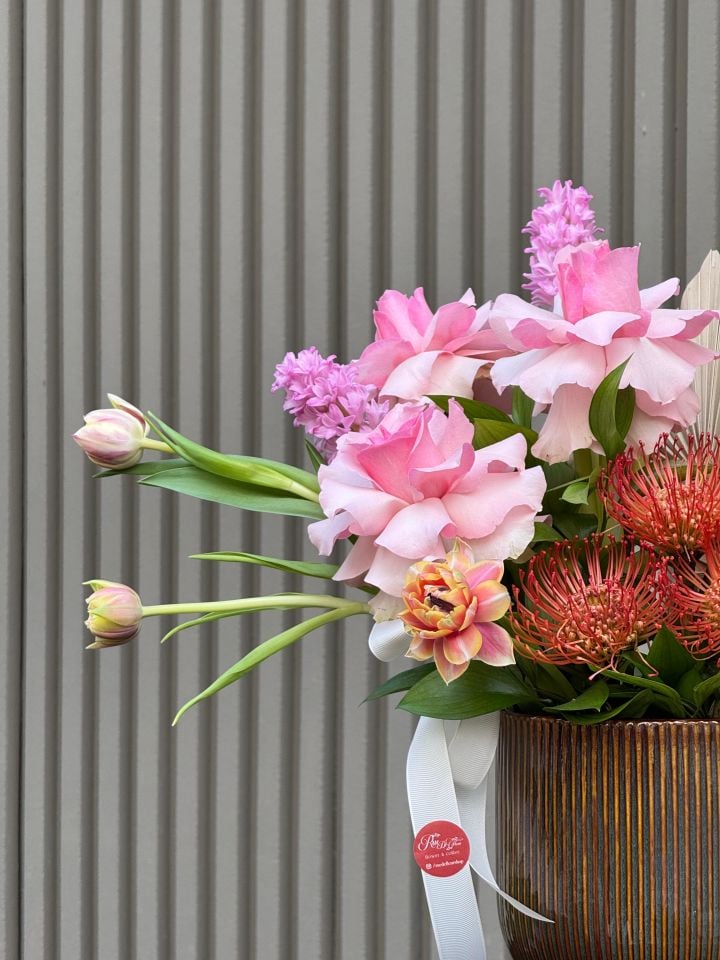 Dancing Queen Aranjman