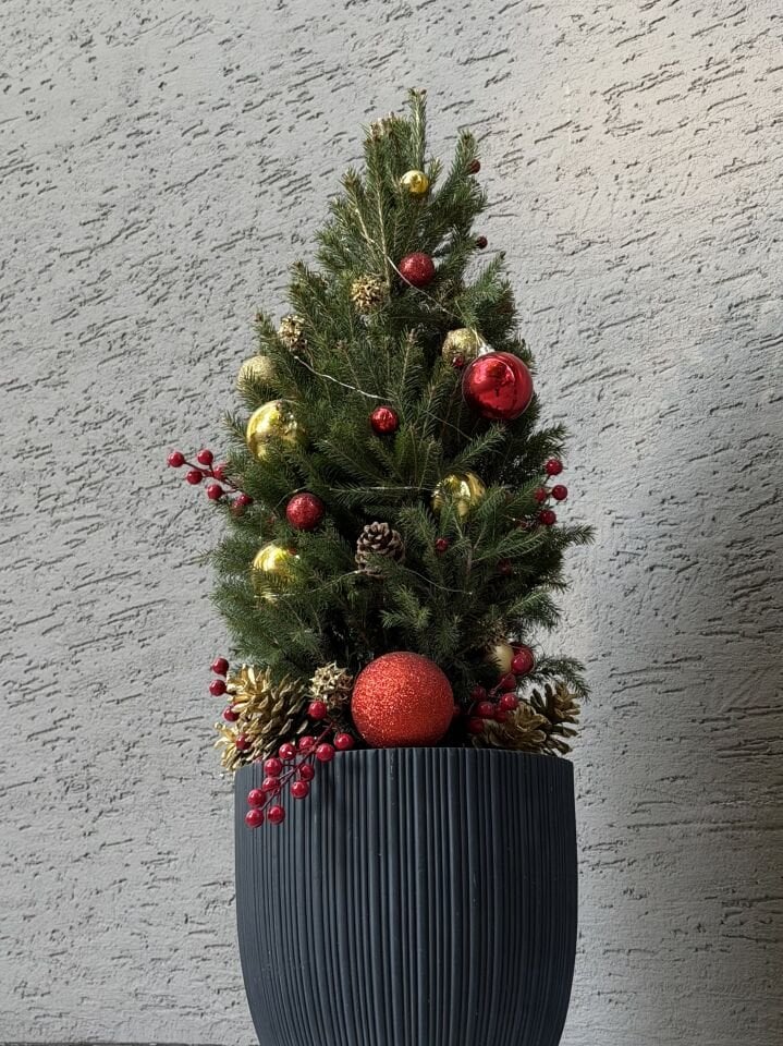 Noel Pine Yılbaşı Ağacı Aranjman