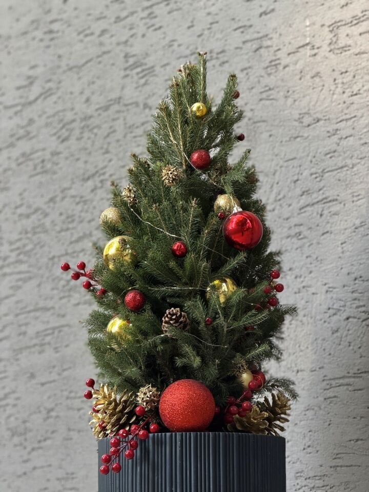 Noel Pine Yılbaşı Ağacı Aranjman